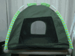 DSC02698.gif
