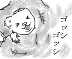 お風呂嫌いのフェレット対策