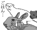 テンの視線の先には