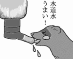 1_110603.gif