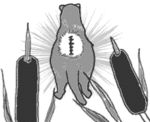 1_110610.gif